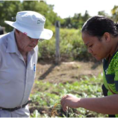 Read more about the article Enhancing the resilience of Agriculture market systems to climate change in the Pacific Islands countries and Timor-Leste