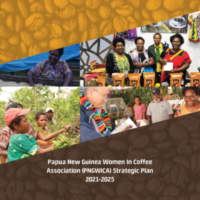 Read more about the article PNG WOMEN IN COFFEE ASSOCIATION (WICA) STRATEGIC PLAN