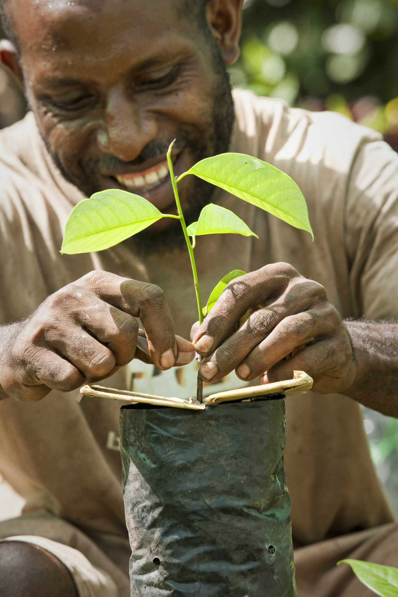 Read more about the article Partnership to boost Pacific Islands’ exportability