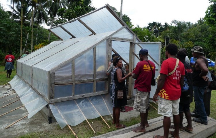 Read more about the article Farmers undergo further training to improve cocoa quality