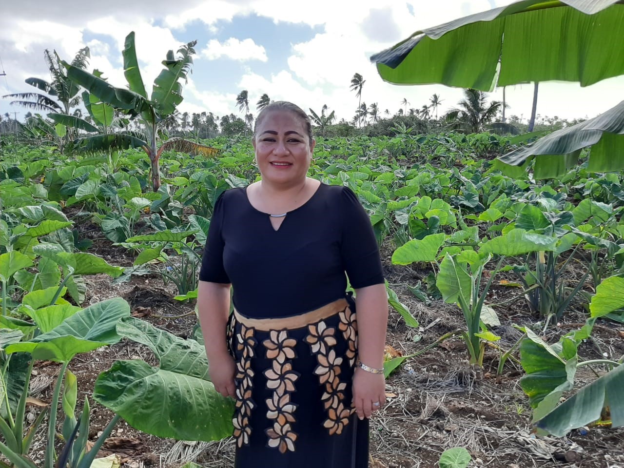 Read more about the article Rise of Lotopoha: The Story of Tonga’s Only Woman Root Crops Exporter