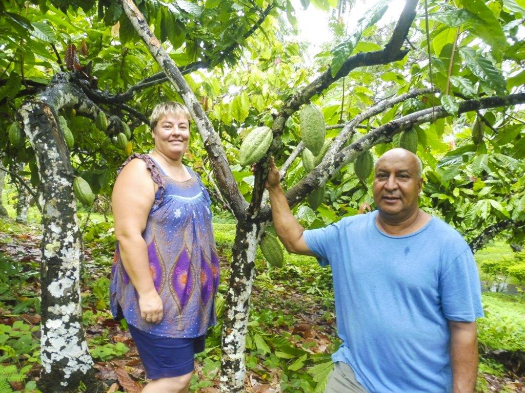 Read more about the article Chocolates, volcanoes and women in cocoa