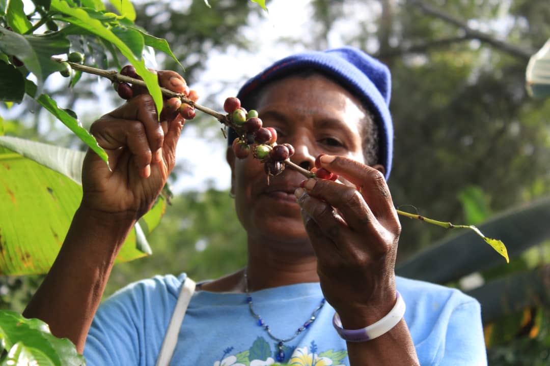 Read more about the article Brewing a better future for women in coffee