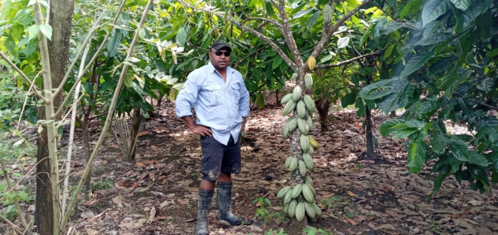 Read more about the article Taking Abau cocoa from PNG to the world