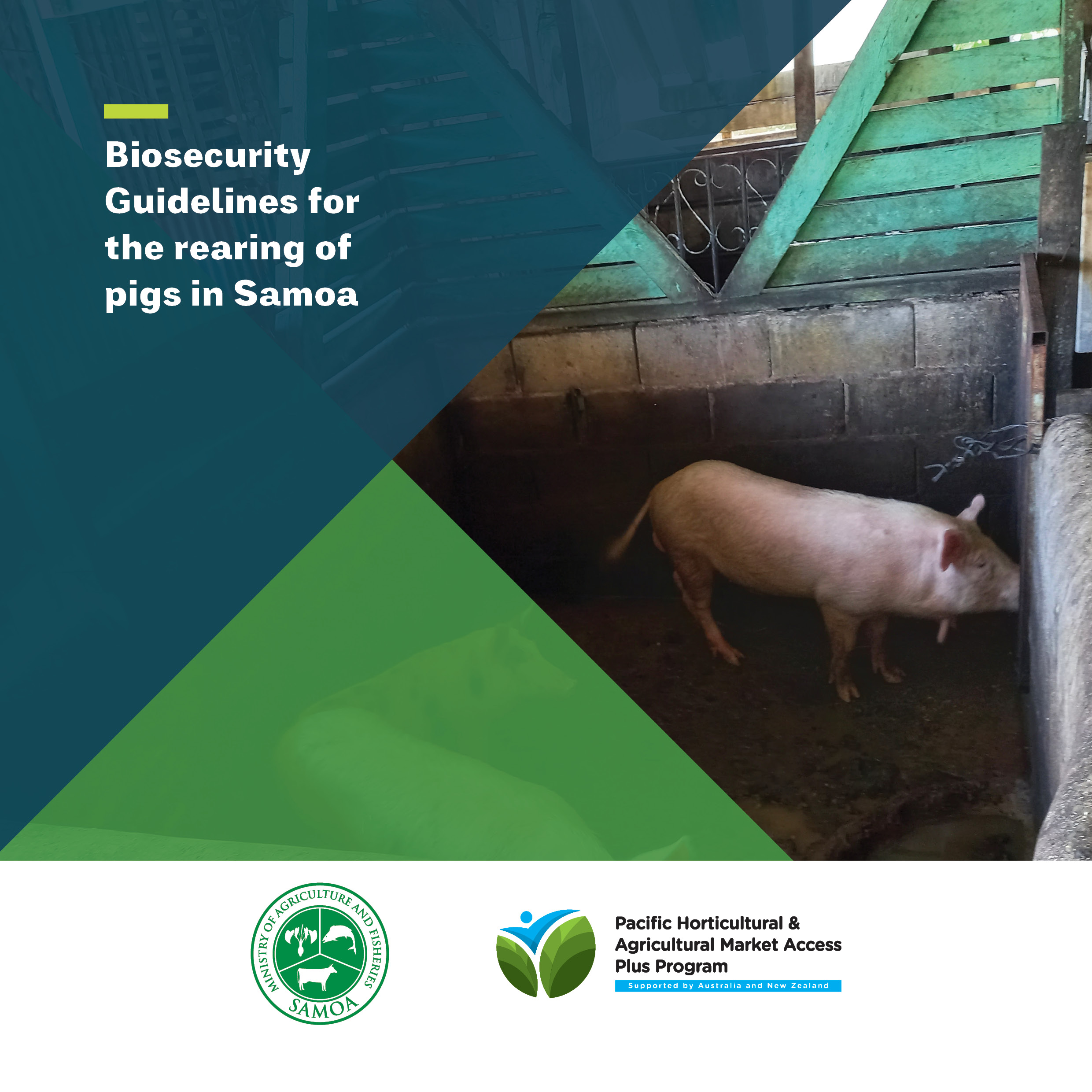 Read more about the article BIOSECURITY GUIDELINES FOR THE REARING OF PIGS IN SAMOA