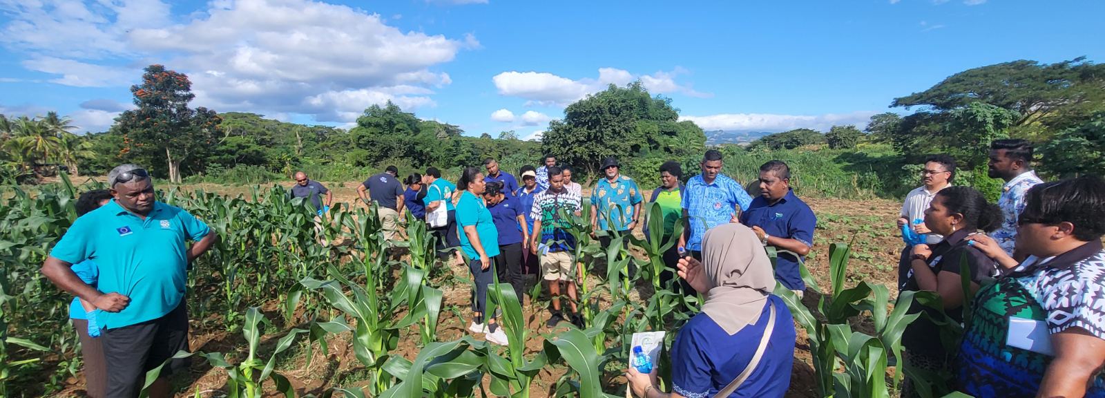 Field visit for the Fall Armyworm Training of Trainers Workshop