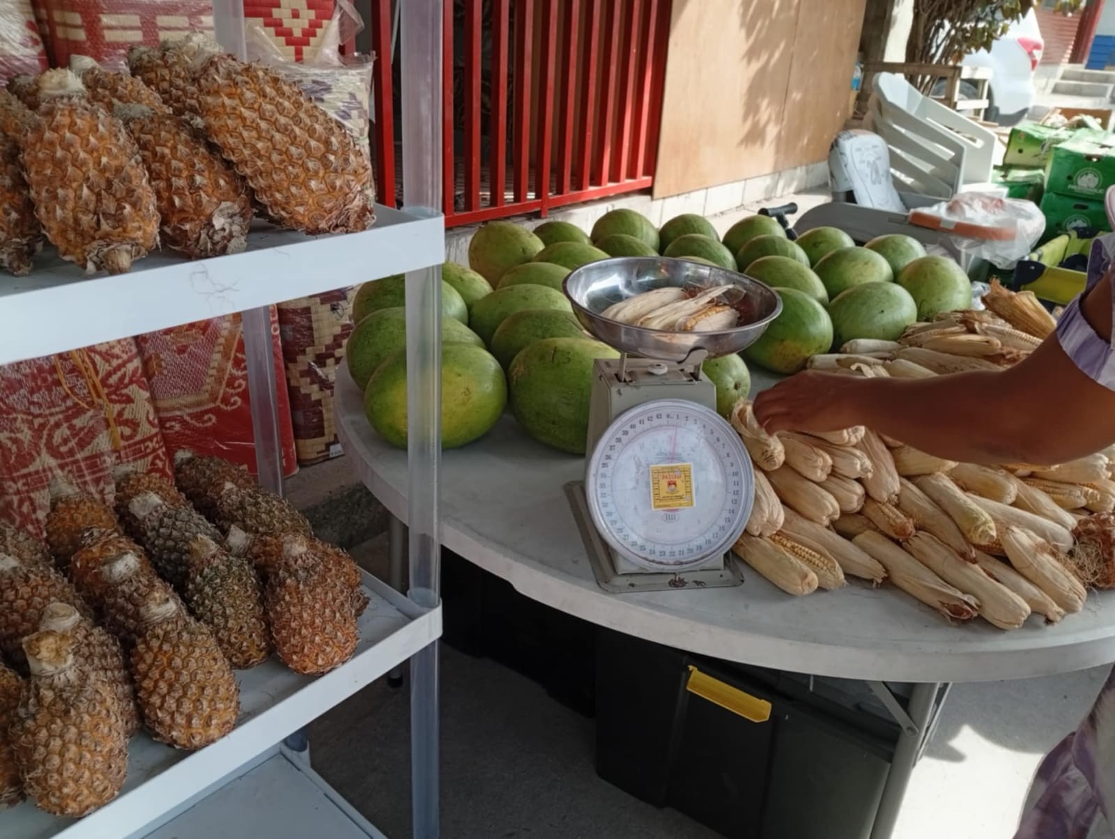 Read more about the article New era for fresh produce from Fiji to Kiribati