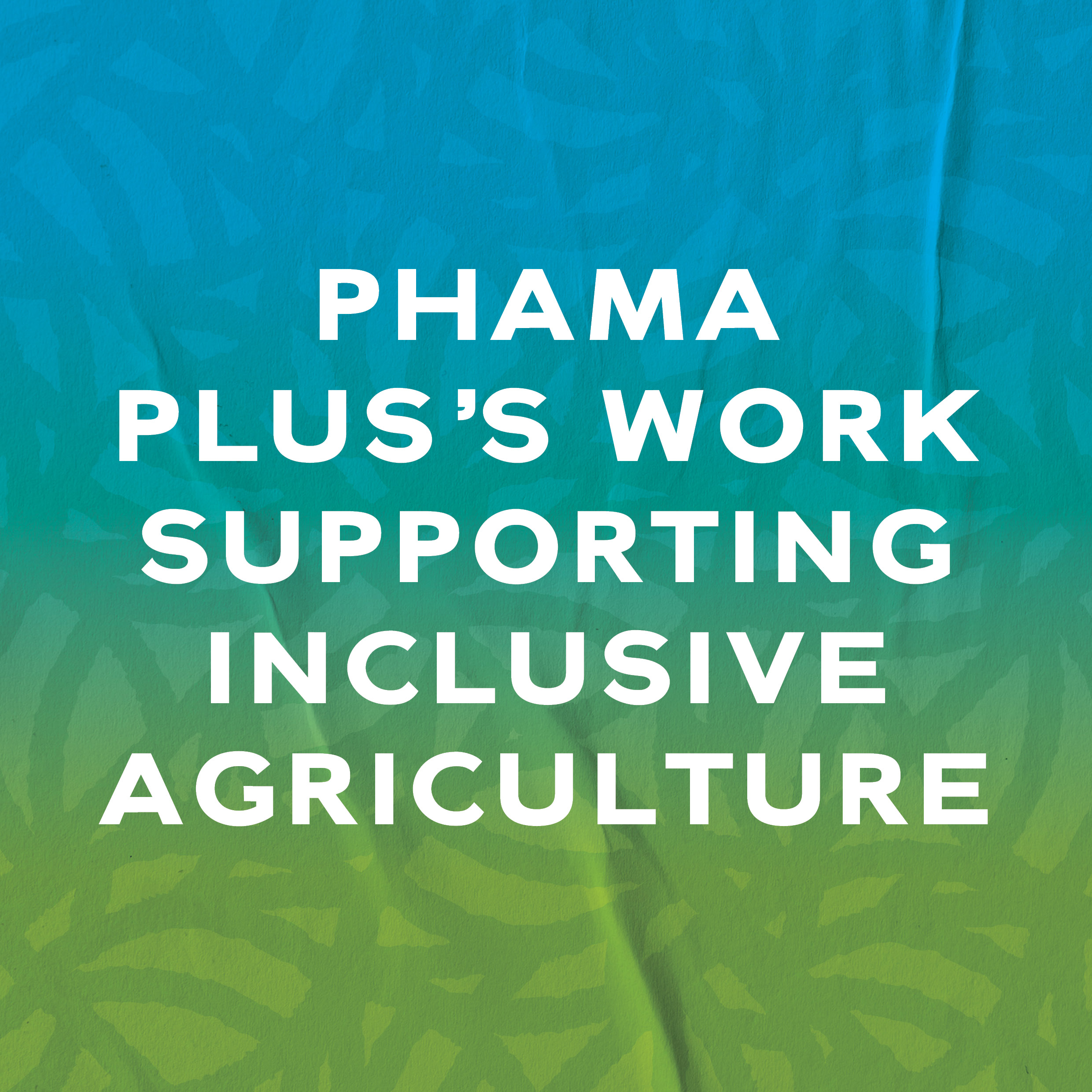Read more about the article PHAMA Plus’s work supporting Inclusive Agriculture – GEDSI