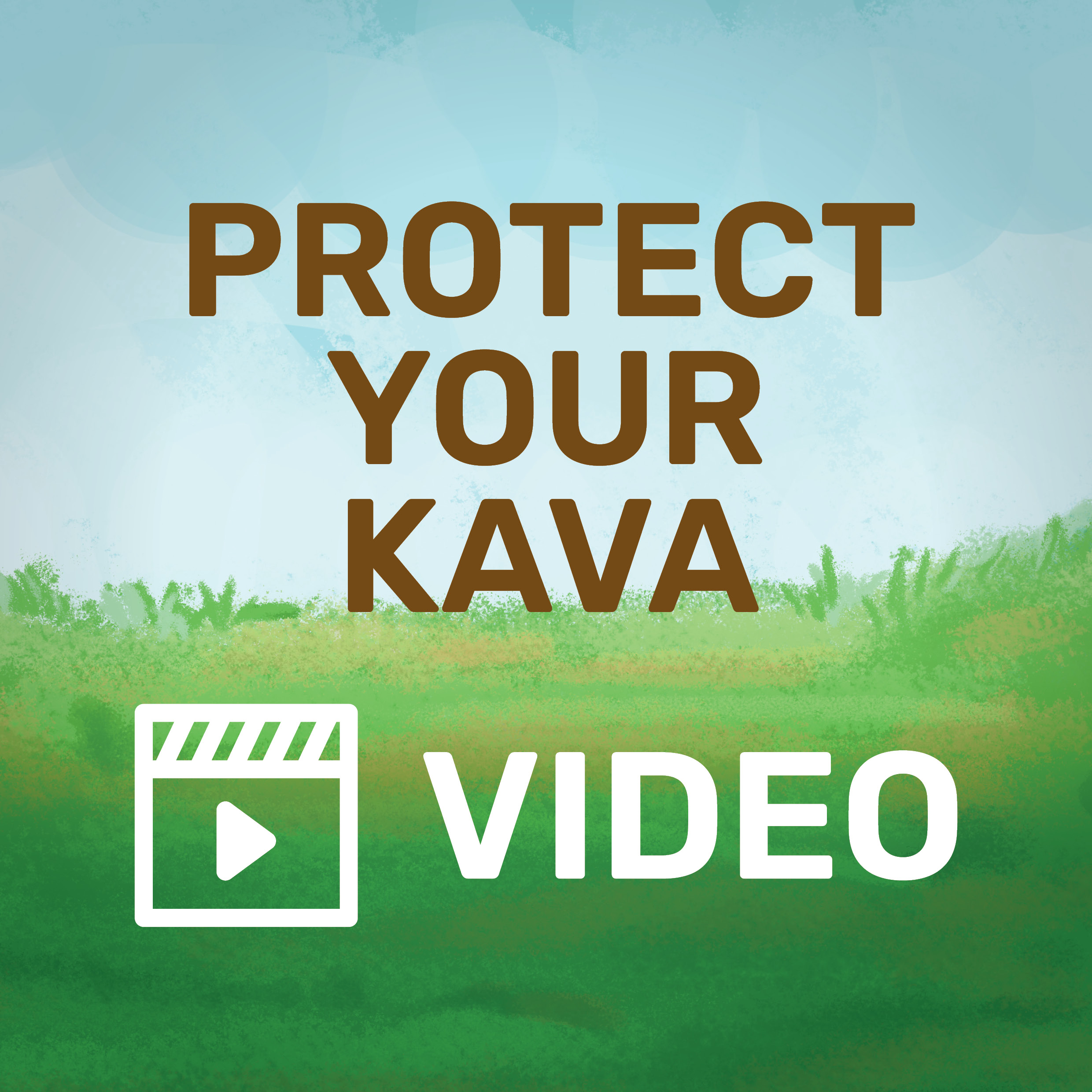 Read more about the article Protect Your Kava – English